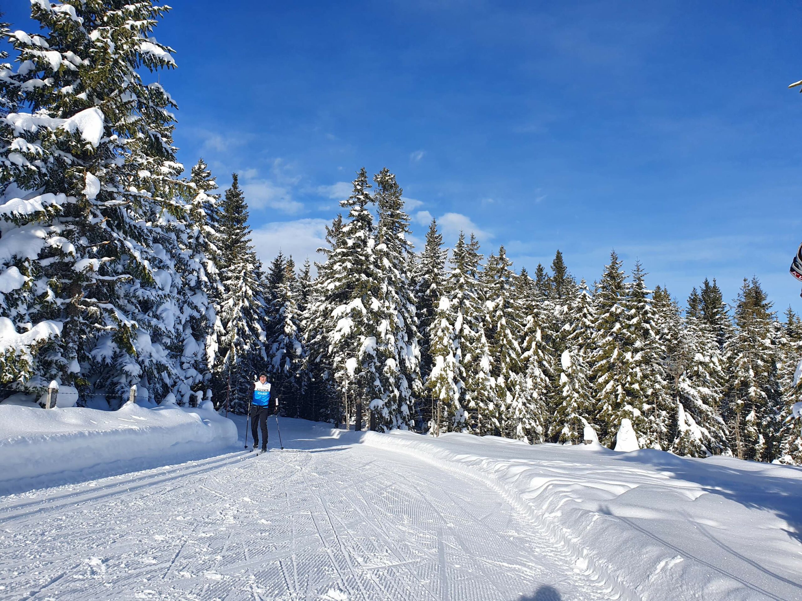 Langlaufen im Lavanttal