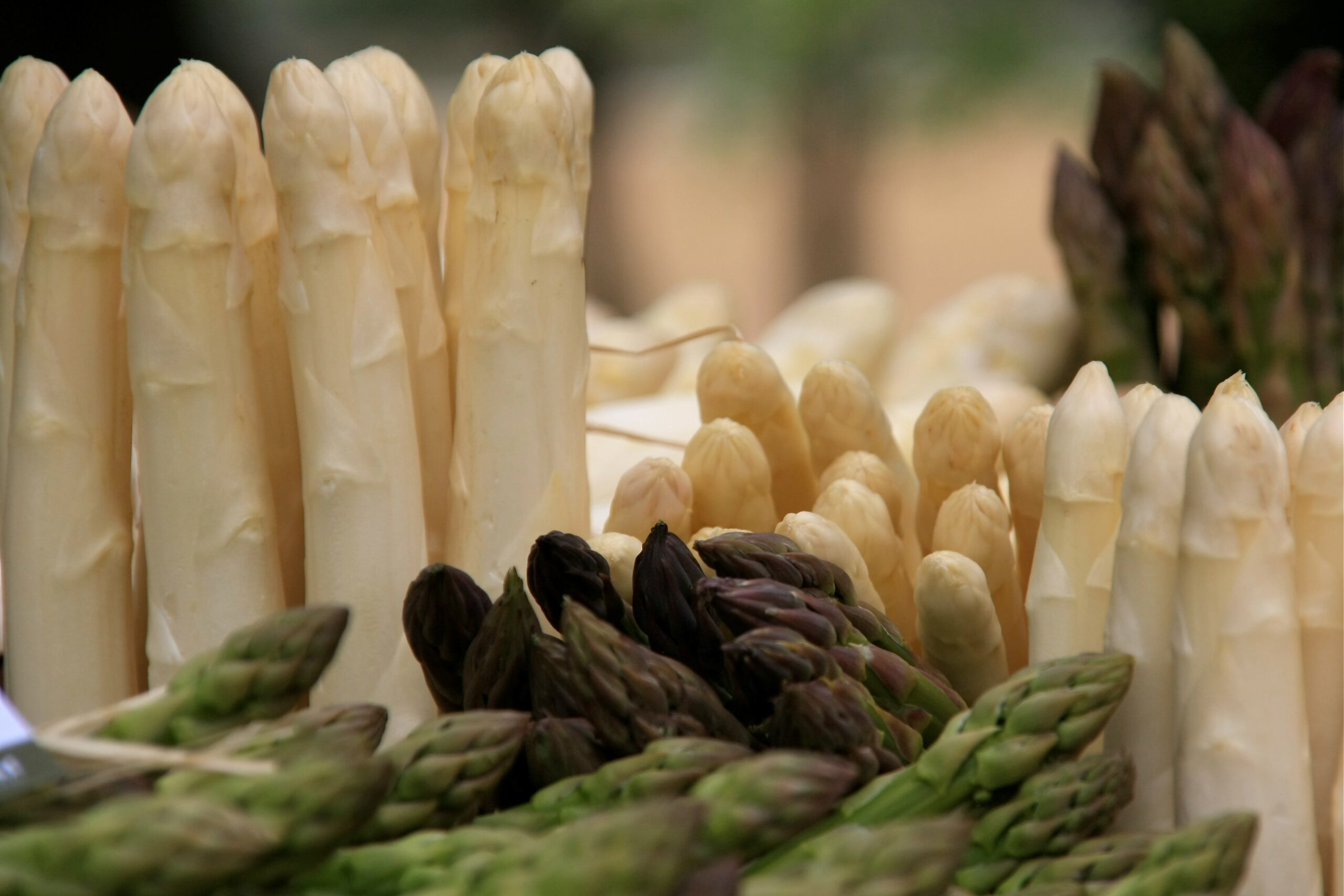 Kulinarik Spargel Kammerhof Lavanttal