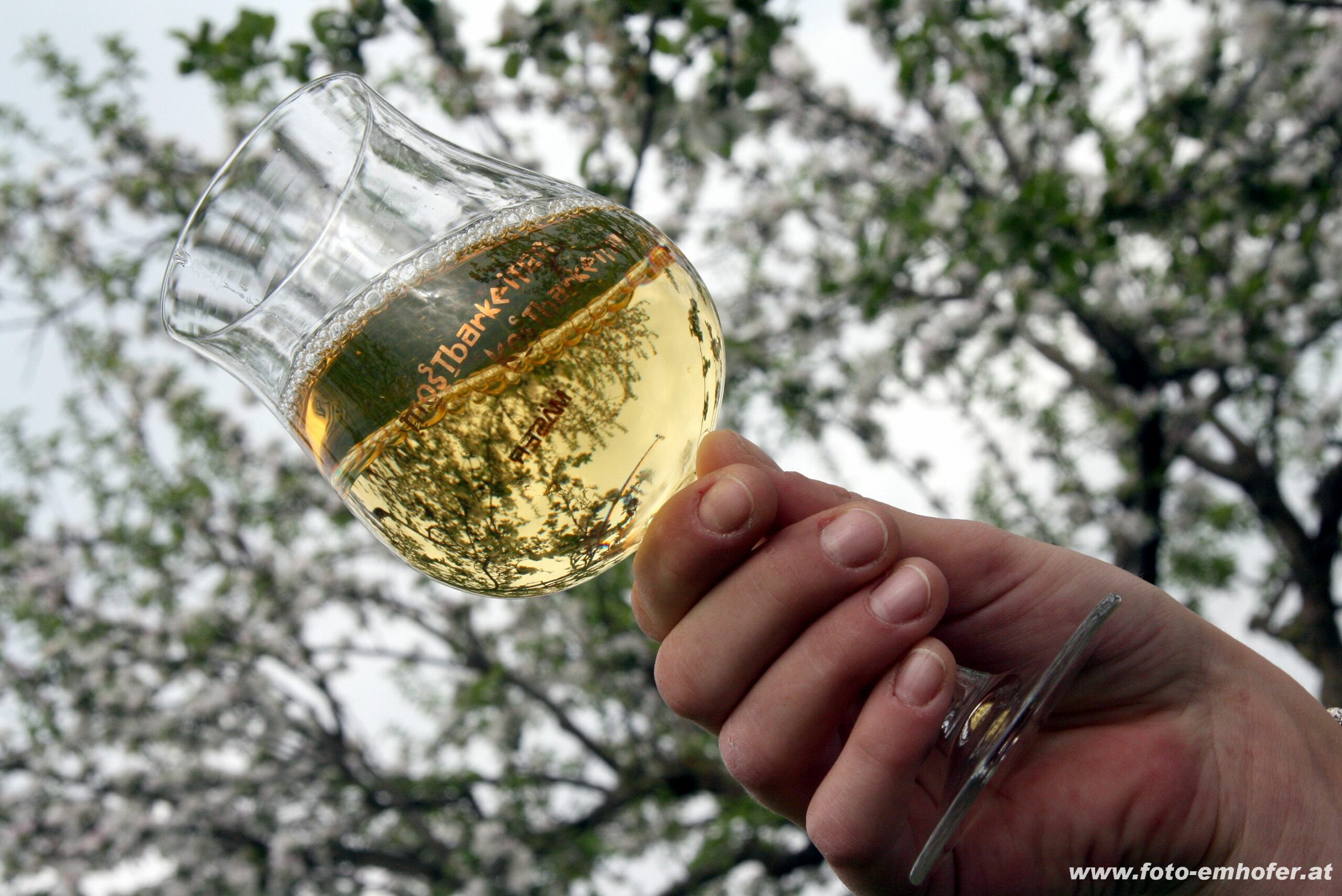 Mostbarkeiten Lavanttal